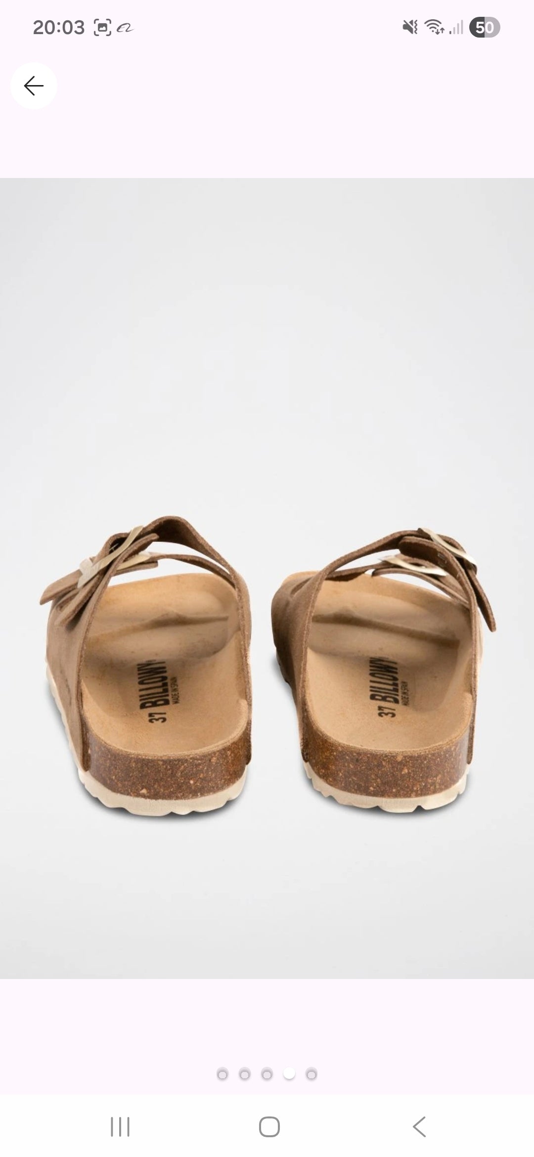 Camel Glow